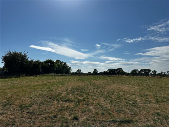 Brownstown, Castleinch, Co. Kilkenny
