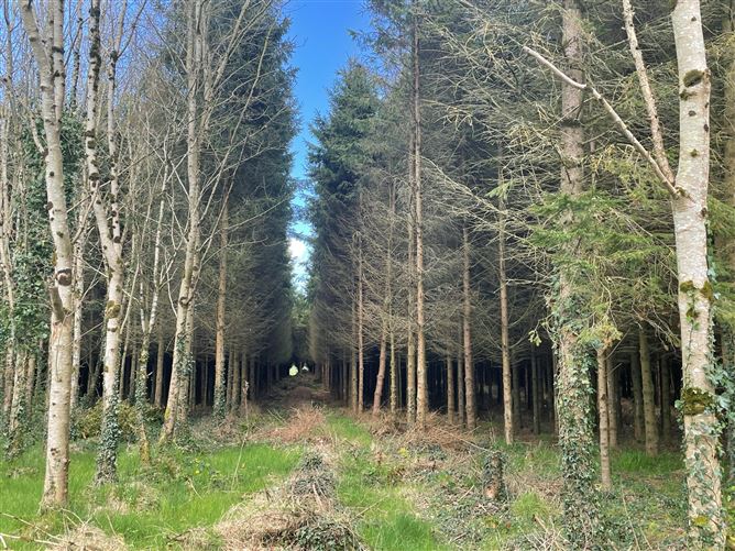 Monknewtown, Slane, Meath