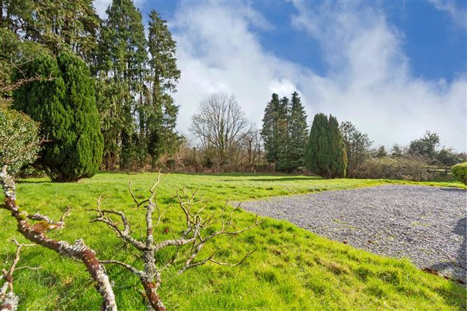 Curraduff, Kiltealy, Co. Wexford