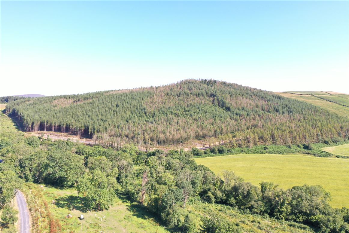 Saddle Hill, Blessington, Thomastown, Kilkenny