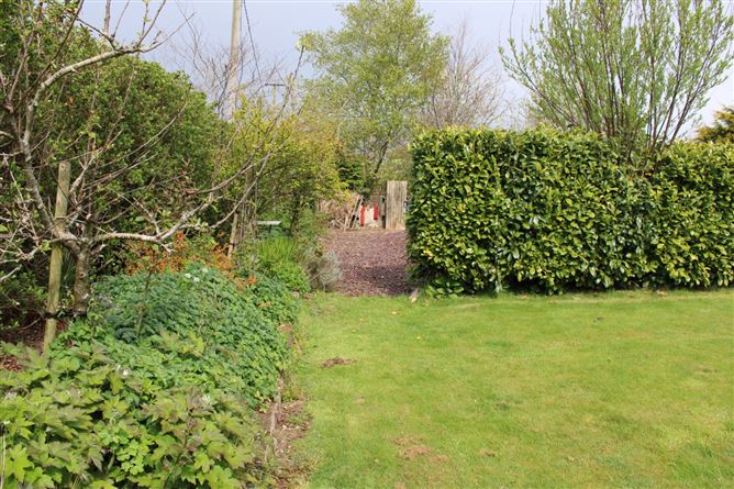 Ballyboro, Clonroche, Co. Wexford