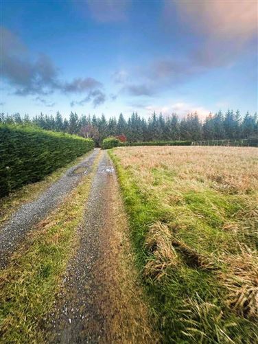 Lands Tiglin, Ashford, Co. Wicklow