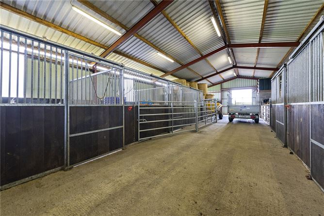 Fletcherstown Lodge, Wilkinstown, Navan, Co. Meath