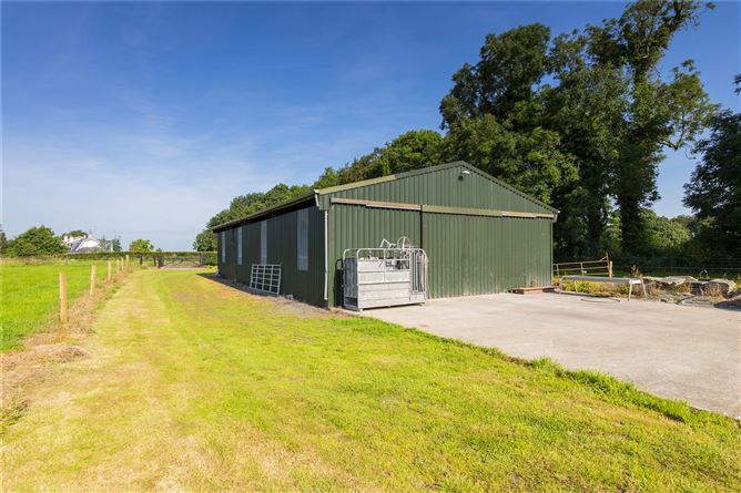 Fletcherstown Lodge, Wilkinstown, Navan, Co. Meath