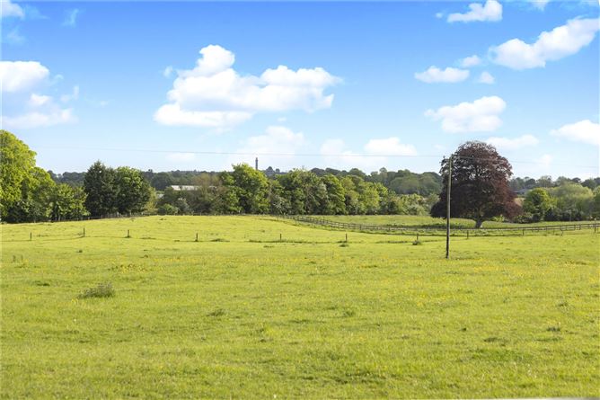 Oakley Park House, On. Approx. 19.34 Ha (47.8 Acres), Kells, County Meath