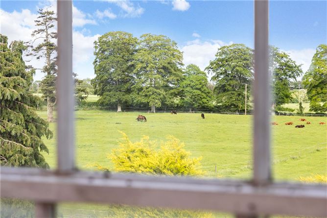 Oakley Park House, On. Approx. 19.34 Ha (47.8 Acres), Kells, County Meath