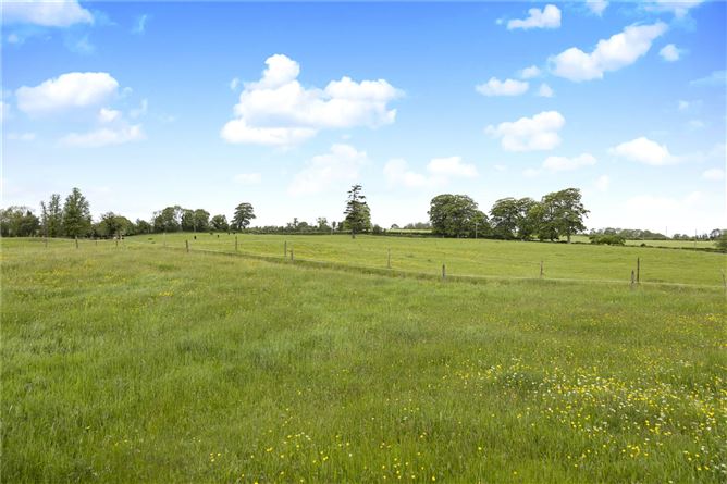 Oakley Park House, On. Approx. 19.34 Ha (47.8 Acres), Kells, County Meath
