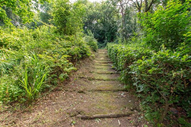 Chatsfort, Newtown, Waterford
