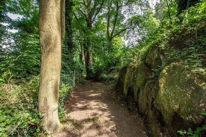 Chatsfort, Newtown, Waterford
