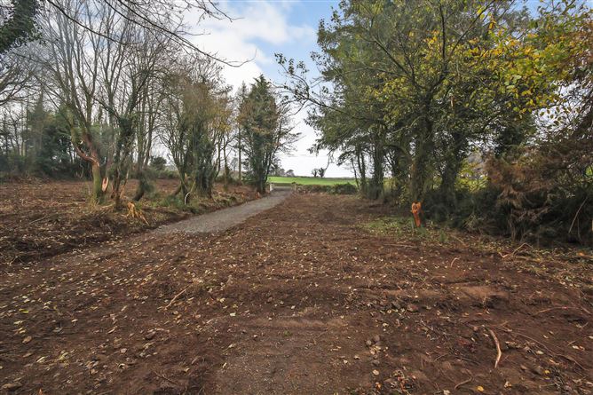 Ballinacree, Oldcastle, Co.Meath