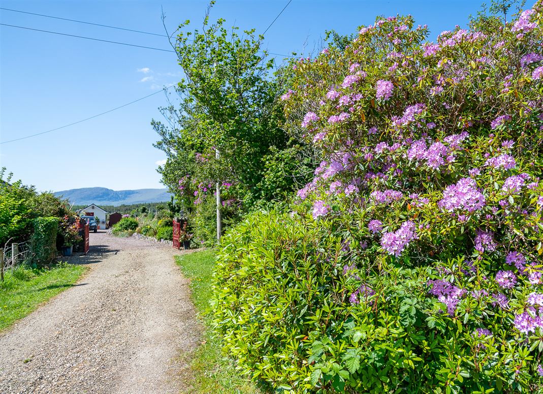 Suaimhneas, Direenaclaurig, Sneem, Co. Kerry