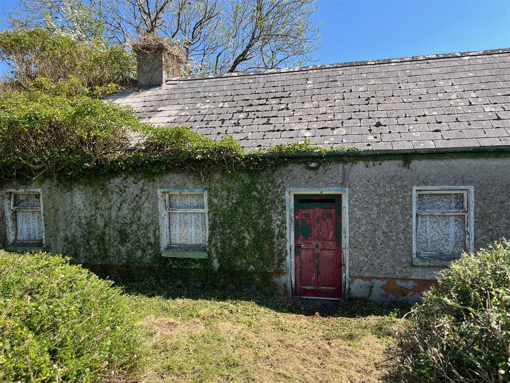Cloontuskert, Lanesboro, Roscommon