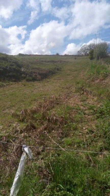 Knocknagorthna, Athea, Limerick