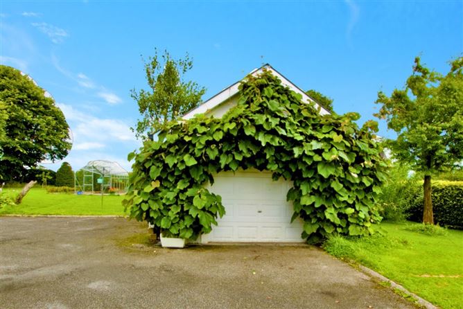 Loughbawn, Ballinasloe, Co. Galway
