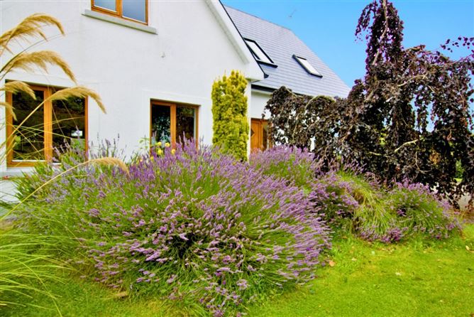 Loughbawn, Ballinasloe, Co. Galway