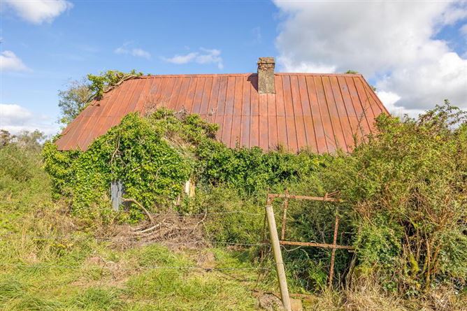 Munnia, Killoscully, Newport, Tipperary