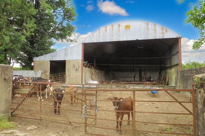 Lacka Lower, Broadford, Limerick