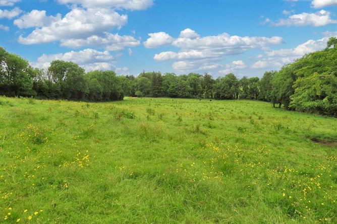 Lacka Lower, Broadford, Limerick