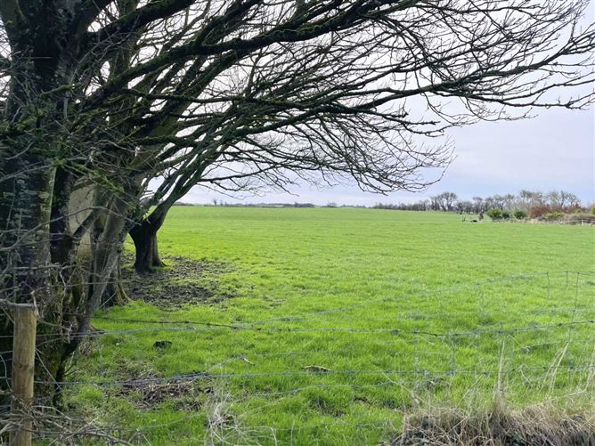 Rosserk, Killala, Mayo