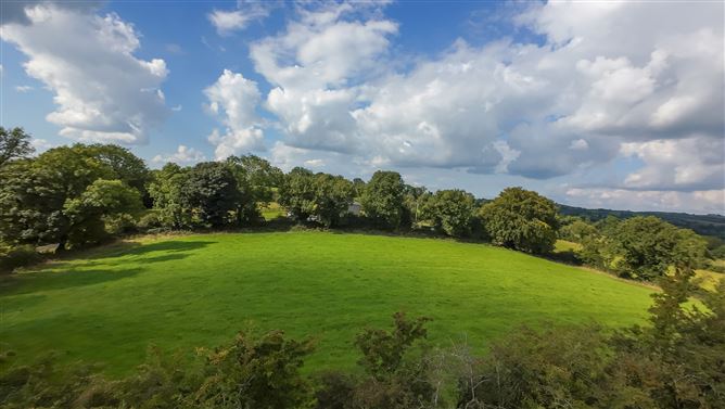Lot 3 - Crowley, Shercock, Cavan,