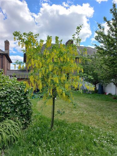 280 Crumlin Road, Crumlin, Dublin 12