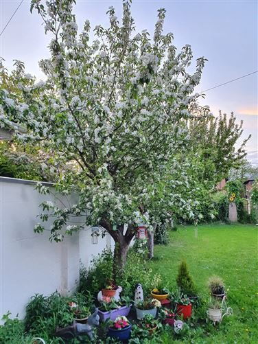 280 Crumlin Road, Crumlin, Dublin 12