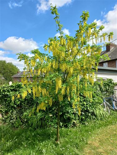 280 Crumlin Road, Crumlin, Dublin 12