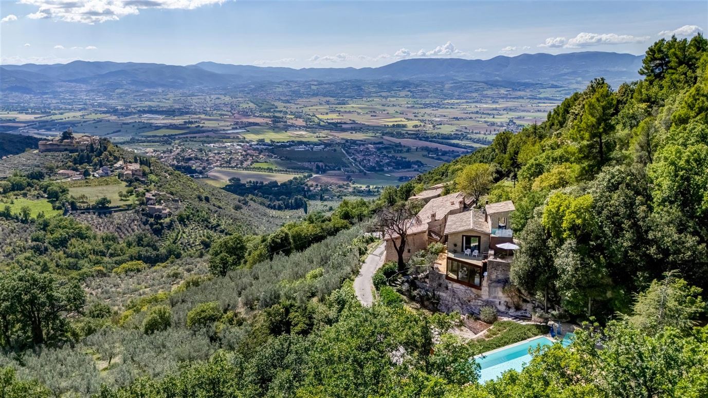Old Olive Shade,Campello Sul Clitunno, Umbria, Italy