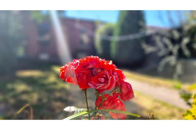 158 St Peters Road, Greenhills, Walkinstown, Dublin 12