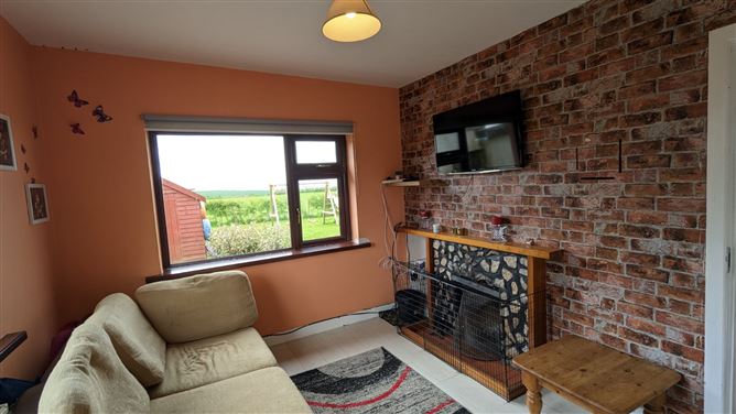 Knockduff, Ballindaggin, Enniscorthy, Co. Wexford
