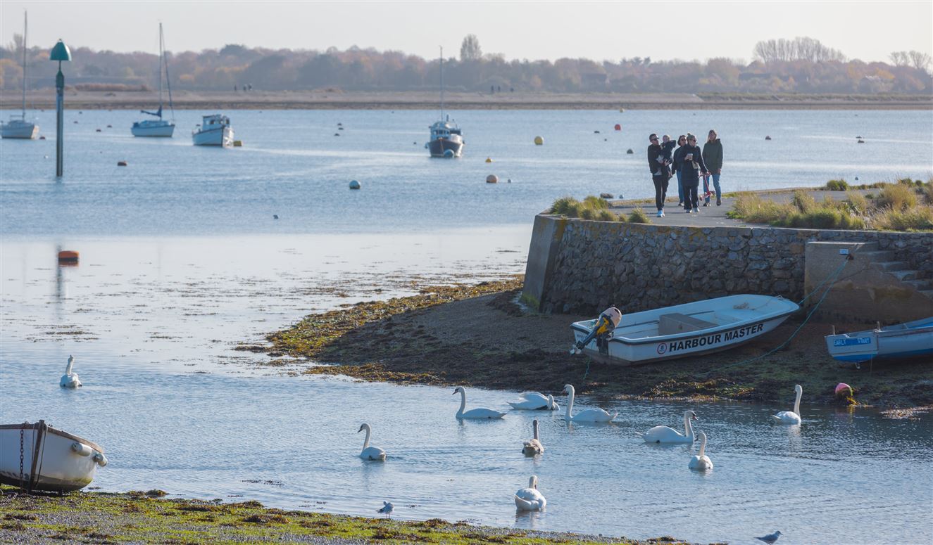 Little Orange Leaf,Emsworth, Hampshire, United Kingdom
