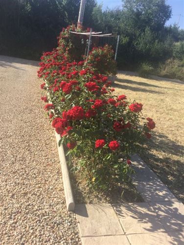 Private, Zarra, Valencian Community