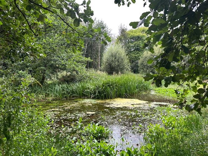 Maple Lodge, Kilcullen, Thomastown, Kilkenny