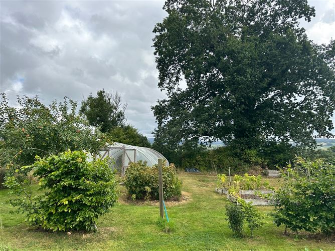 Maple Lodge, Kilcullen, Thomastown, Kilkenny
