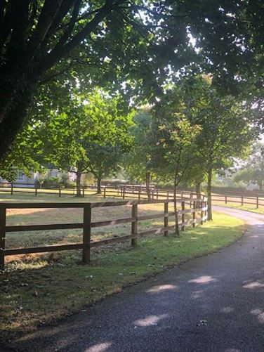 Maple Lodge, Kilcullen, Thomastown, Kilkenny
