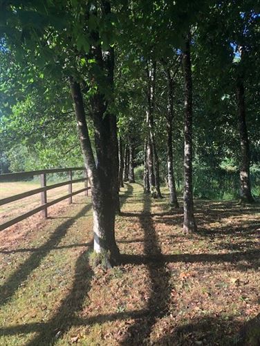 Maple Lodge, Kilcullen, Thomastown, Kilkenny