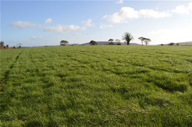 Curraleigh, Iniscarra, Co. Cork