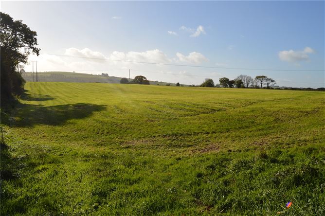 Curraleigh, Iniscarra, Co. Cork