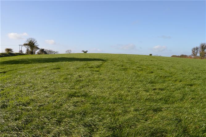 Curraleigh, Iniscarra, Co. Cork