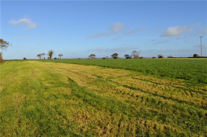 Curraleigh, Iniscarra, Co. Cork