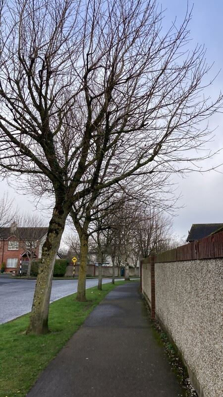 Lovely single Room, Dublin 24, Dublin