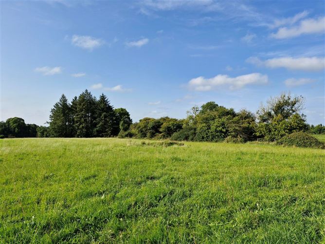 .27 Hectare / .66 Acre, Dalgin, Milltown, Tuam, Co. Galway