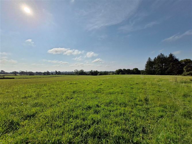 .27 Hectare / .66 Acre, Dalgin, Milltown, Tuam, Co. Galway