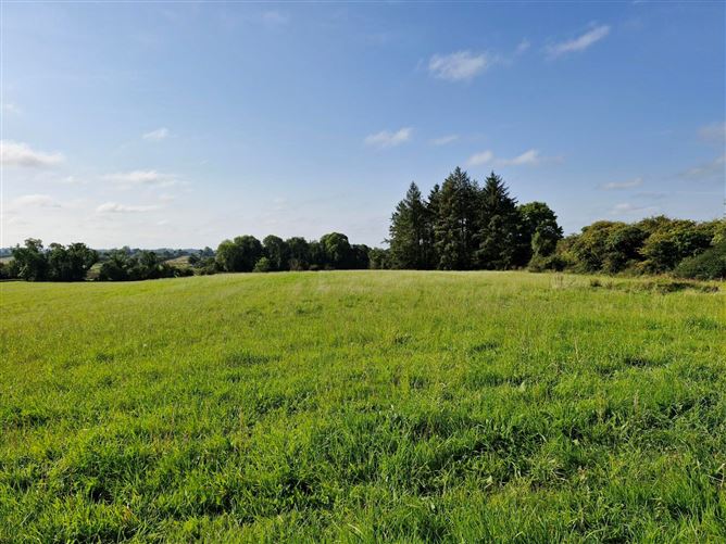 .27 Hectare / .66 Acre, Dalgin, Milltown, Tuam, Co. Galway