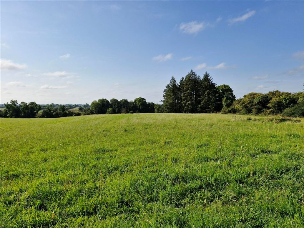.27 Hectare / .66 Acre, Dalgin, Milltown, Tuam, Co. Galway