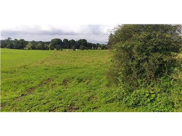 Image for .27 Hectare / .66 Acre, Dalgin, Milltown, Tuam, Co. Galway