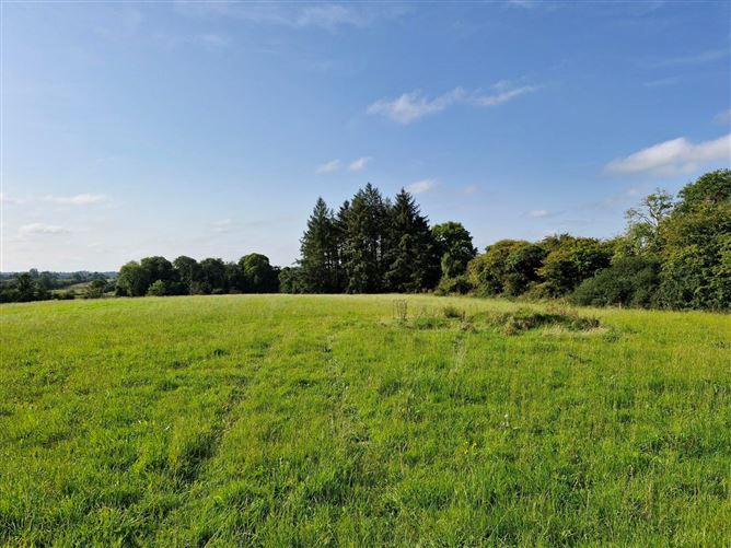 .27 Hectare / .66 Acre, Dalgin, Milltown, Tuam, Co. Galway