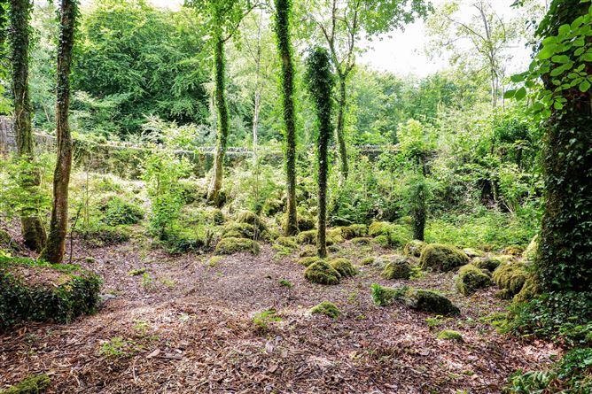 Belwood, Ballynahallia, Moycullen, Co. Galway