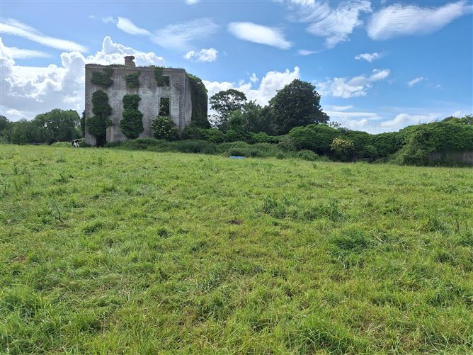 Kilmallock, Grange, Limerick