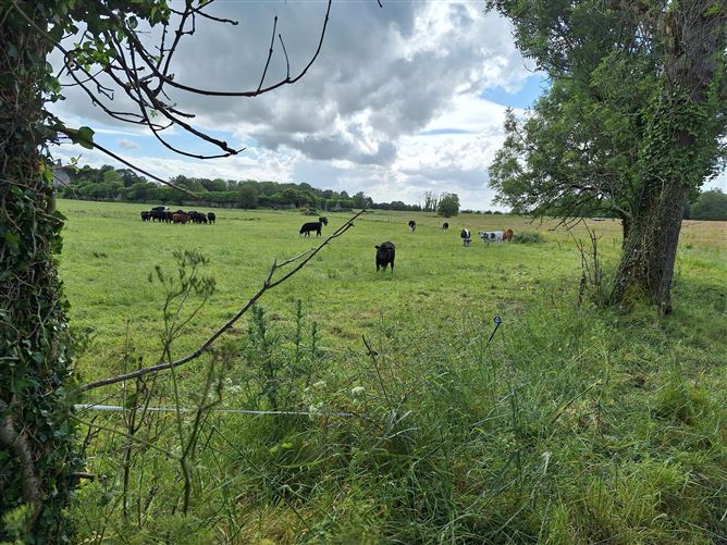 Kilmallock, Grange, Limerick